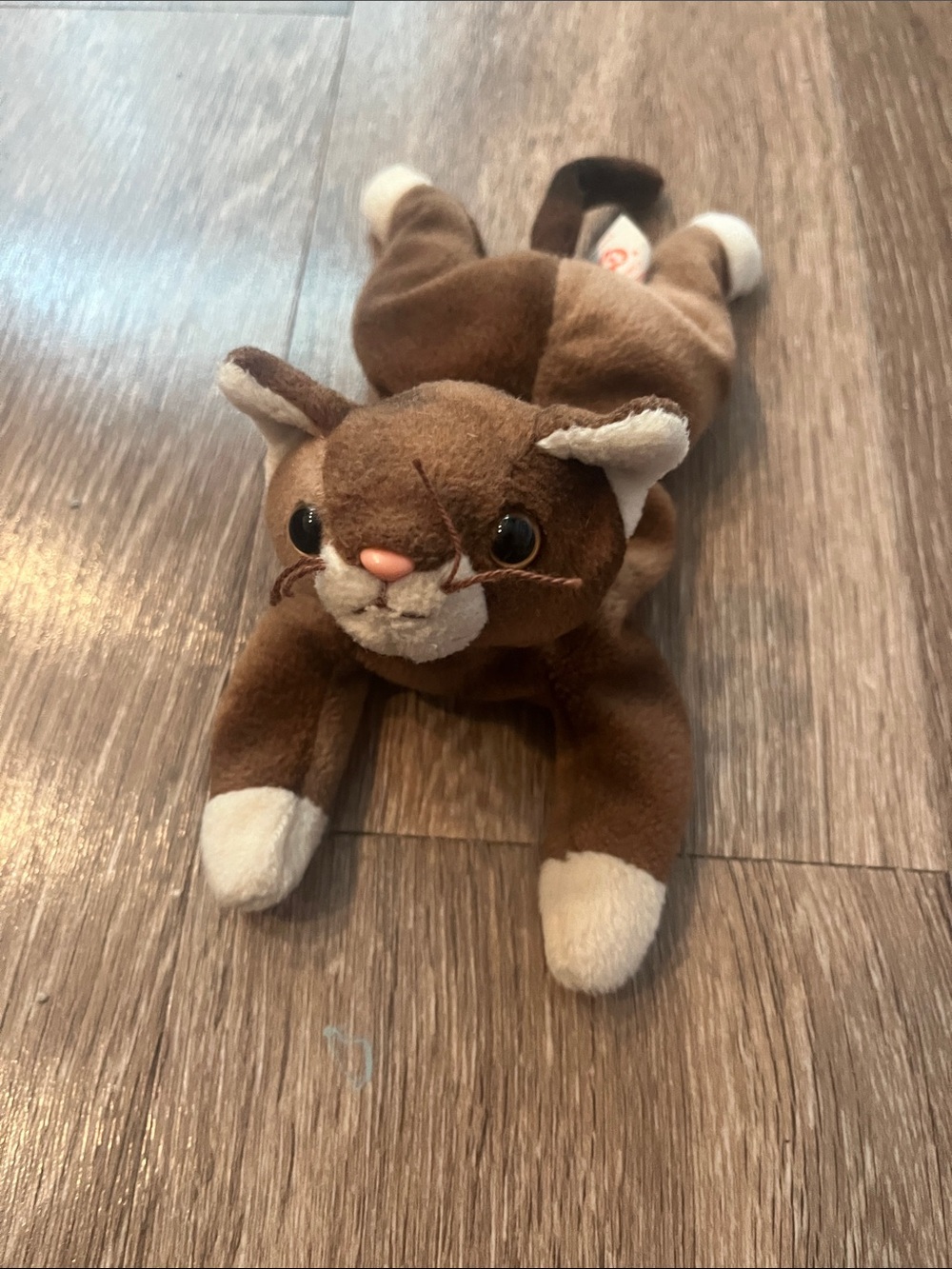 Vintage 1997 Ty Beanine Baby Pounce plush